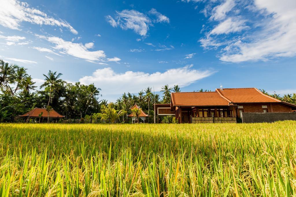 Maluhia Haven Villa Ubud  Exterior photo